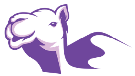 logo-camel