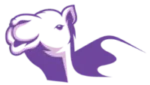 logo-camel1